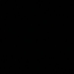 Meet your Posher, Willie